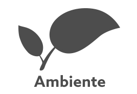 Ambiente